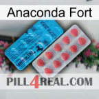 Anaconda Strong new14